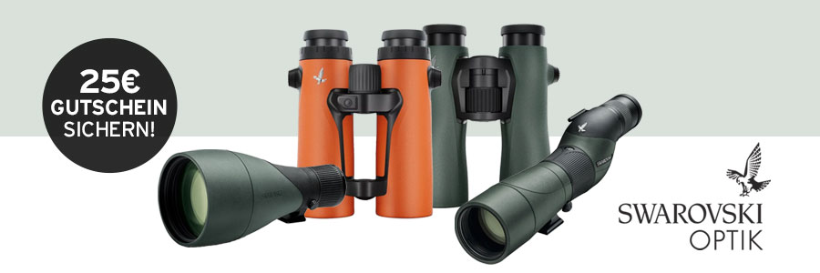 Swarovski Newsletteraktion Cashback