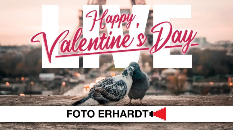 Eure Bilder, unsere Meinung - LIVE - Thema: Valentinstag