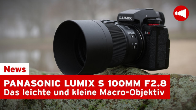 Panasonic Lumix S 100MM F2.8 MACRO - Klein, leicht aber Oho!