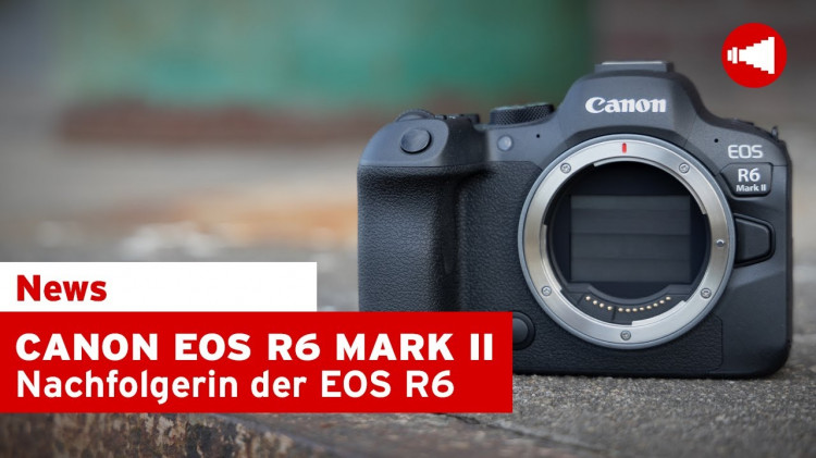 Canon EOS R6 Mark II | Die schnellste EOS R-Kamera!